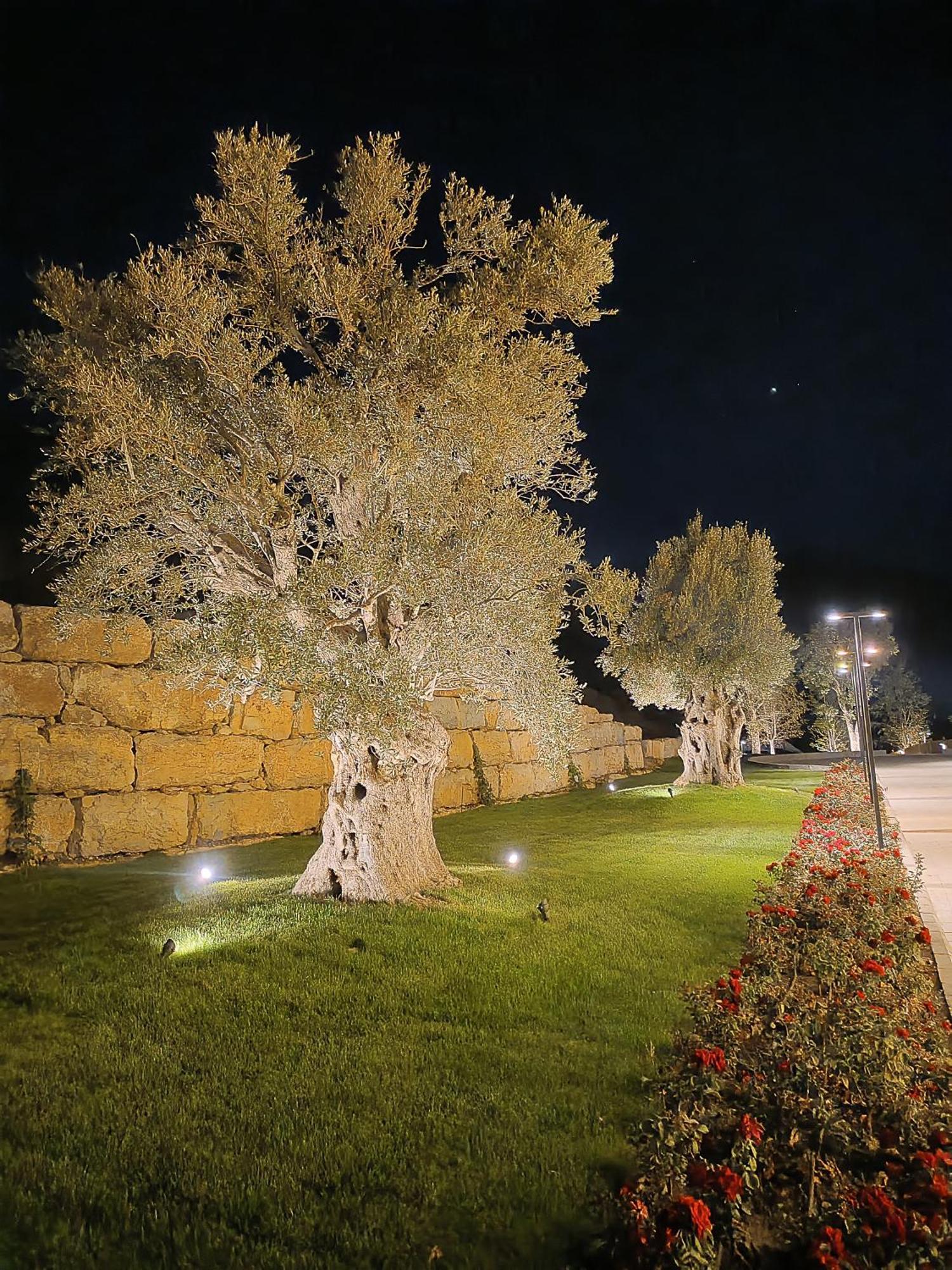 Cherrytales Ḩammānā Bagian luar foto